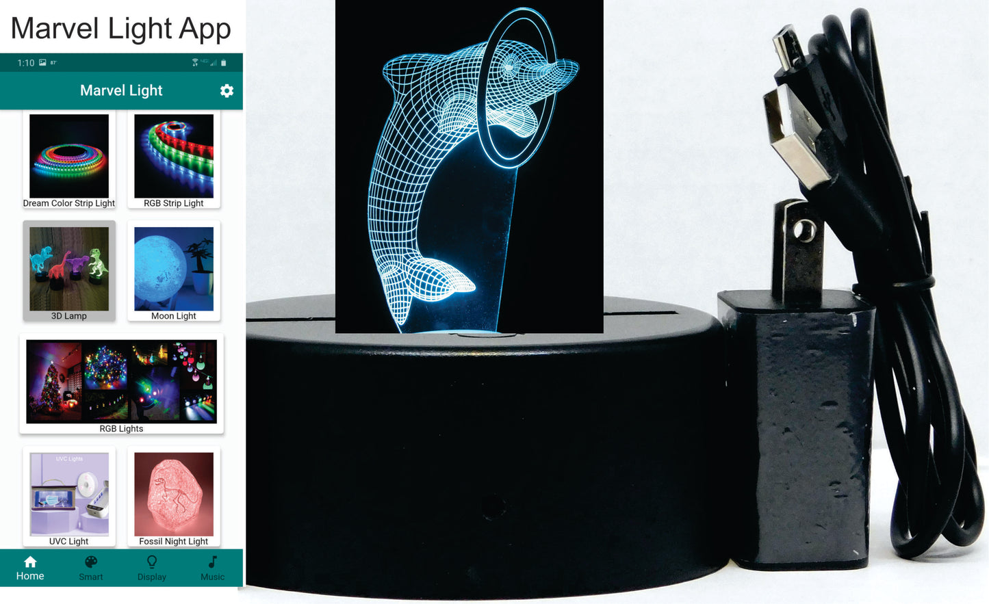 Dolphin with Ring or Ball 3-D Optical Illusion Multicolored Light