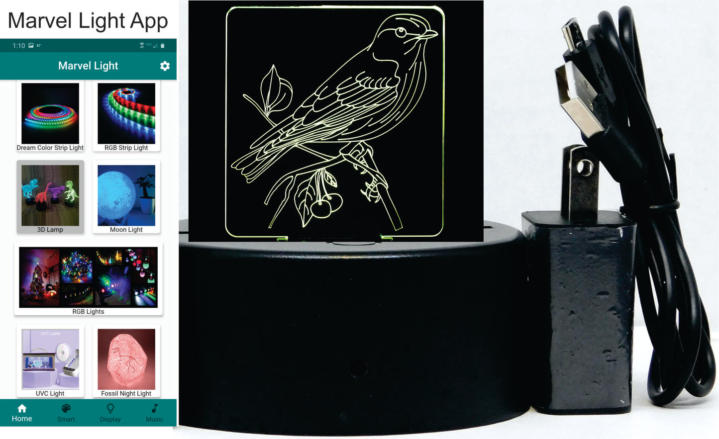 Sparrow on Branch 3-D Optical Illusion Multicolored Lamp