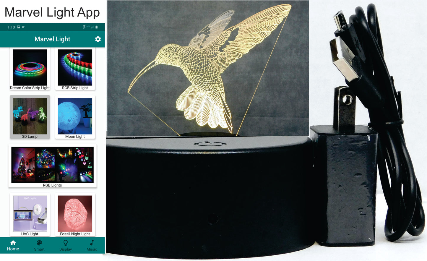 Hummingbird in Flight 3-D Optical Illusion Multicolored Light