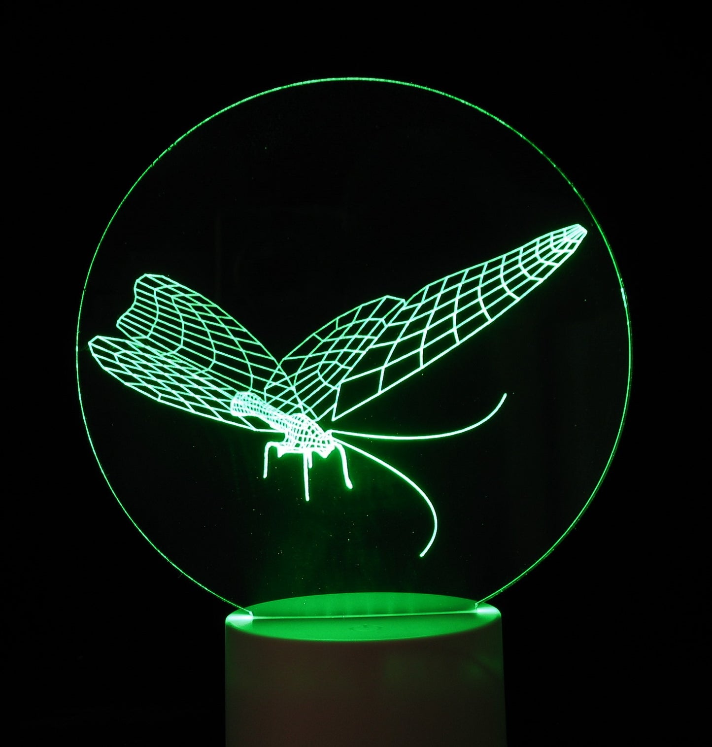Butterflies 3-D Optical Illusion Multicolored Light