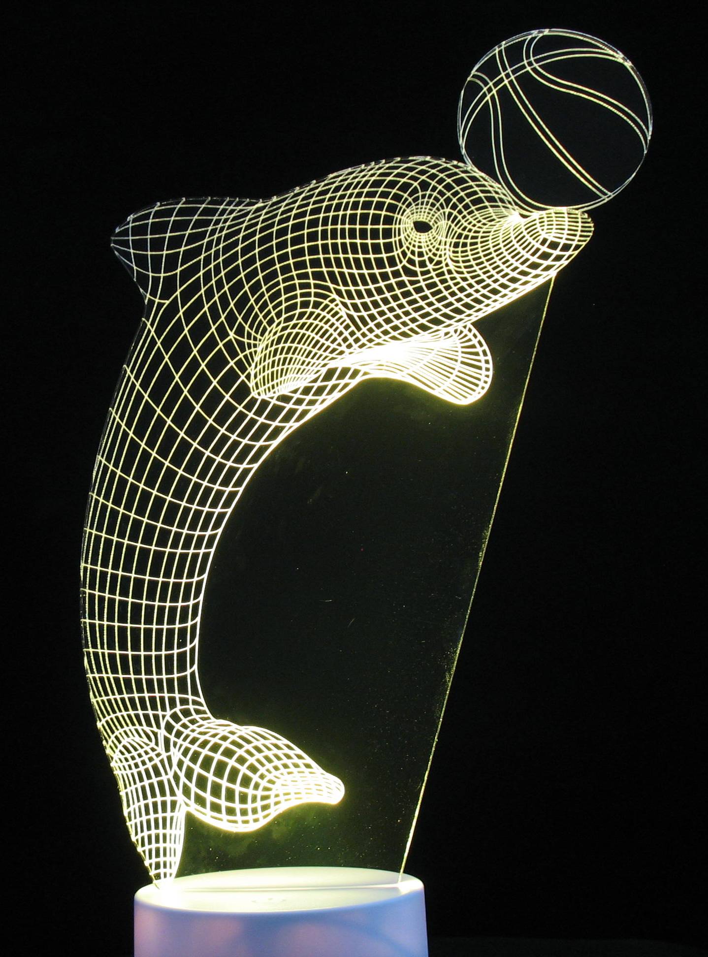 Dolphin with Ring or Ball 3-D Optical Illusion Multicolored Light