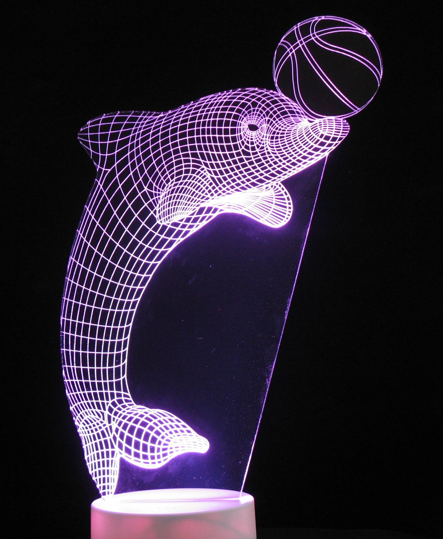 Dolphin with Ring or Ball 3-D Optical Illusion Multicolored Light