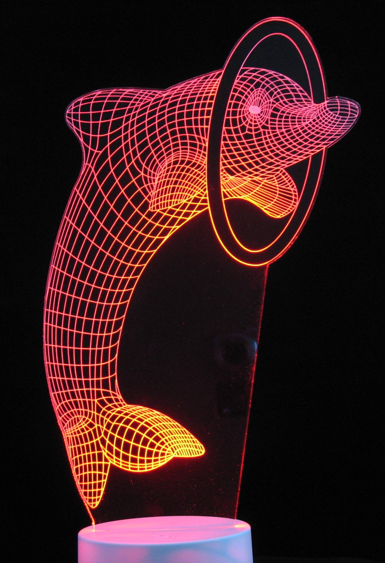 Dolphin with Ring or Ball 3-D Optical Illusion Multicolored Light