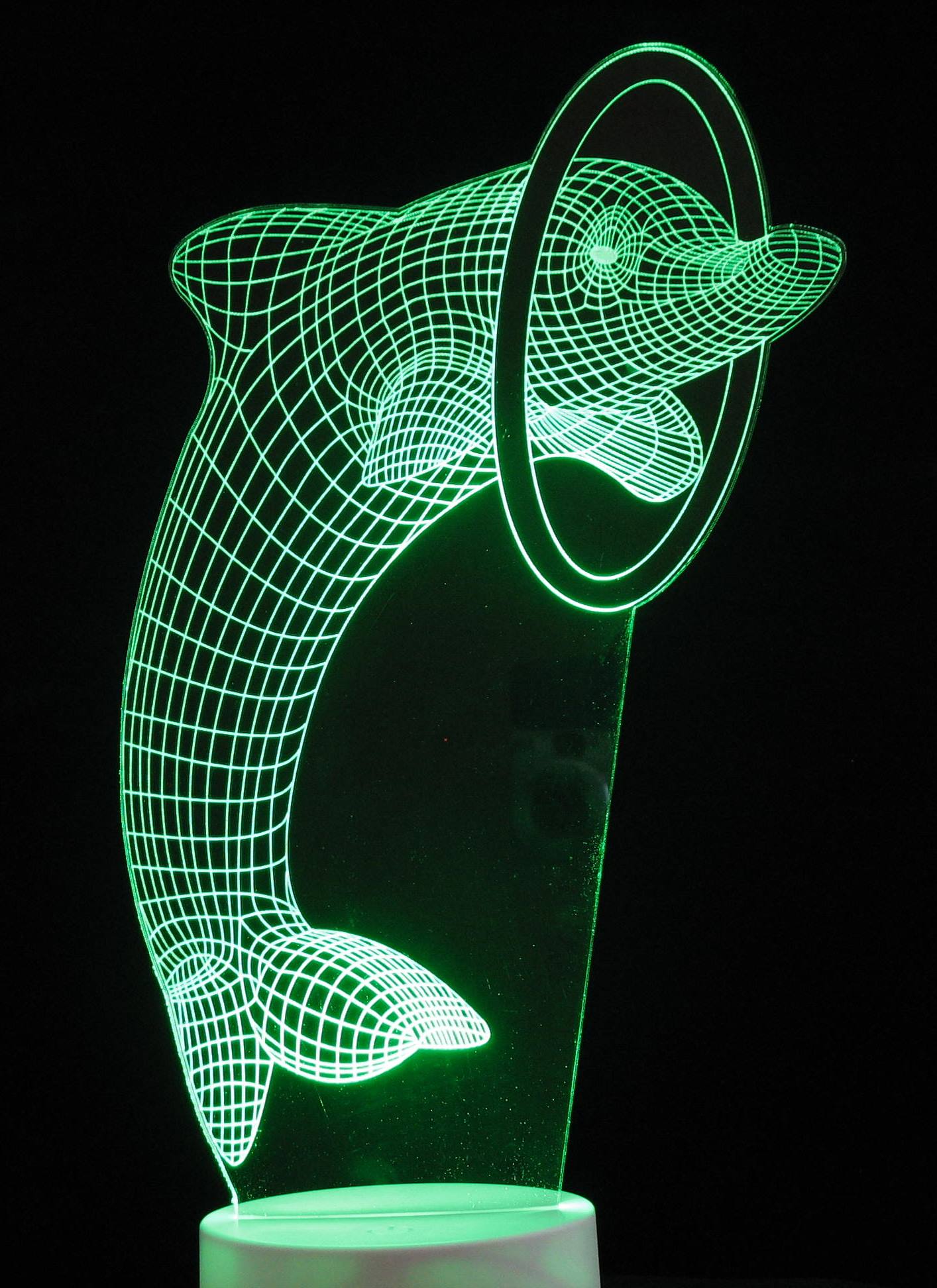 Dolphin with Ring or Ball 3-D Optical Illusion Multicolored Light