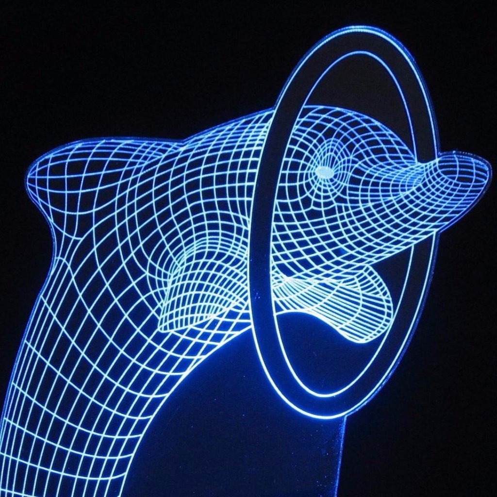 Dolphin with Ring or Ball 3-D Optical Illusion Multicolored Light