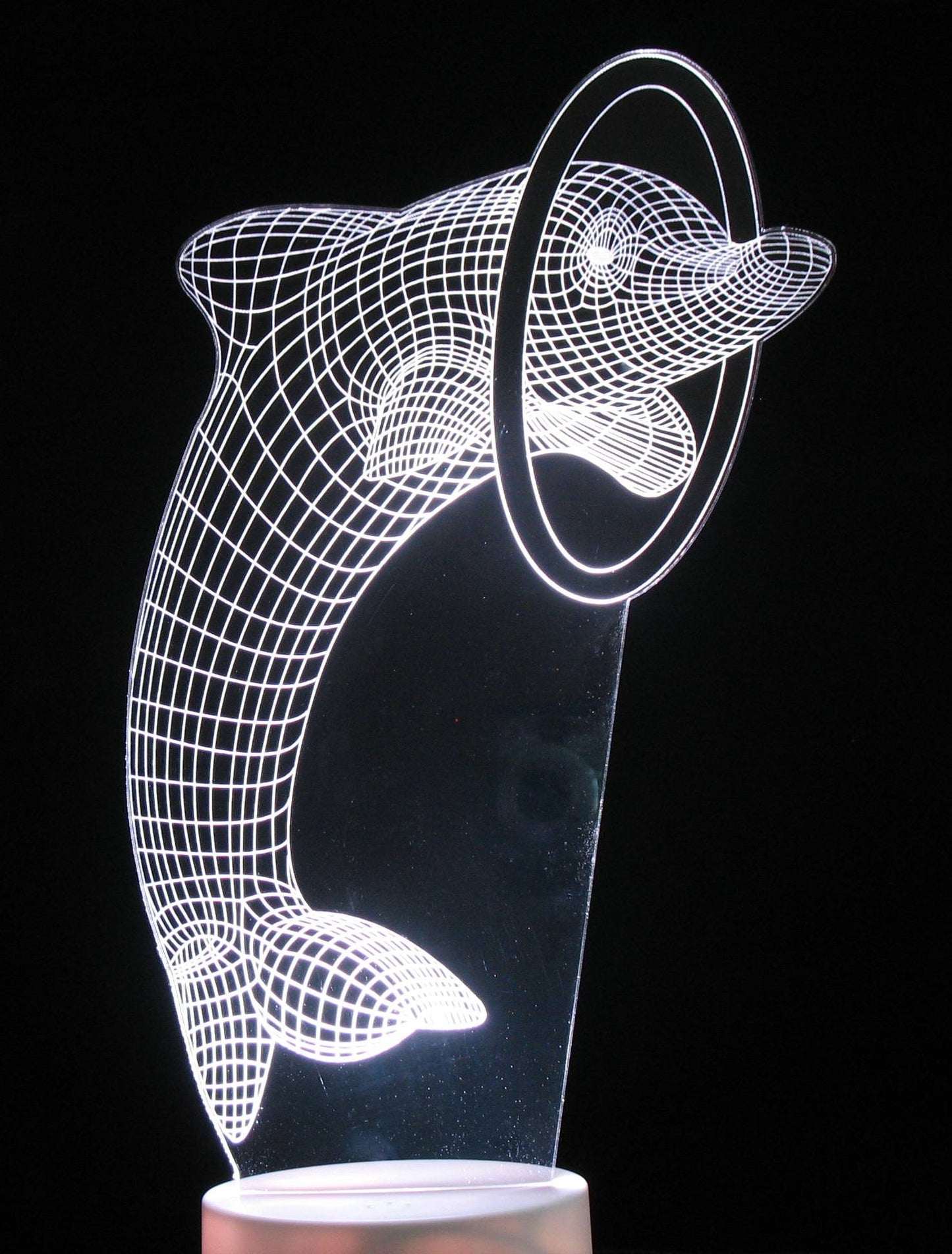 Dolphin with Ring or Ball 3-D Optical Illusion Multicolored Light
