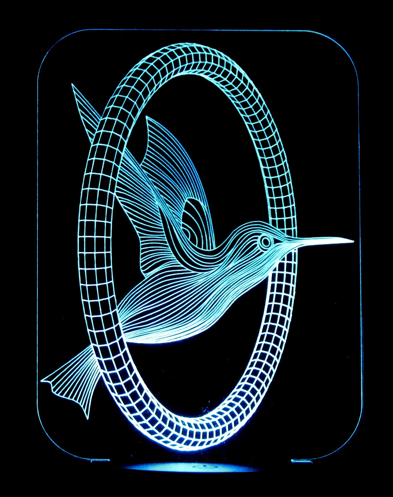 Hummingbird  3-D Optical Illusion Multicolored Light
