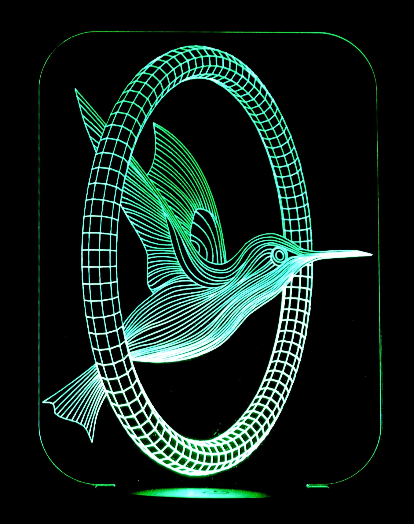 Hummingbird  3-D Optical Illusion Multicolored Light