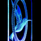 Hummingbird  3-D Optical Illusion Multicolored Light