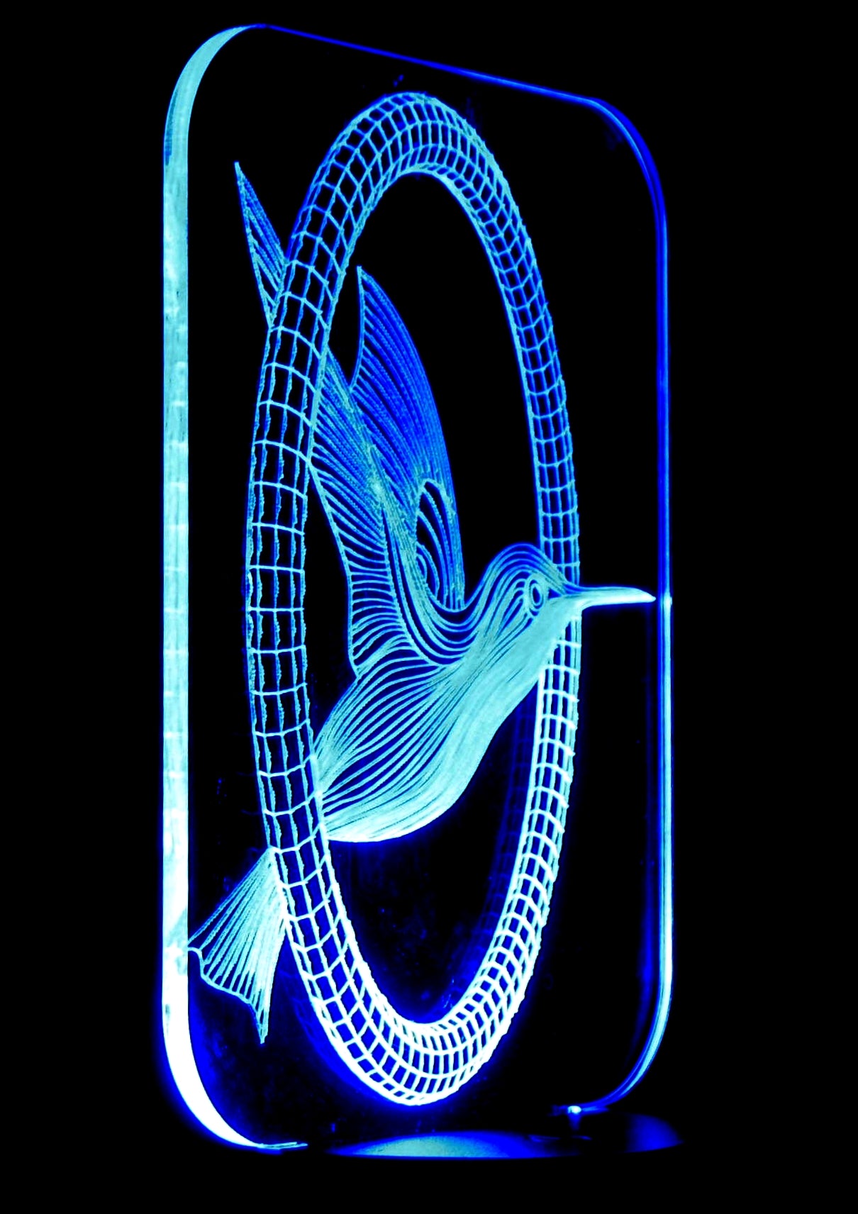 Hummingbird  3-D Optical Illusion Multicolored Light