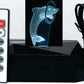 Dolphin with Ring or Ball 3-D Optical Illusion Multicolored Light