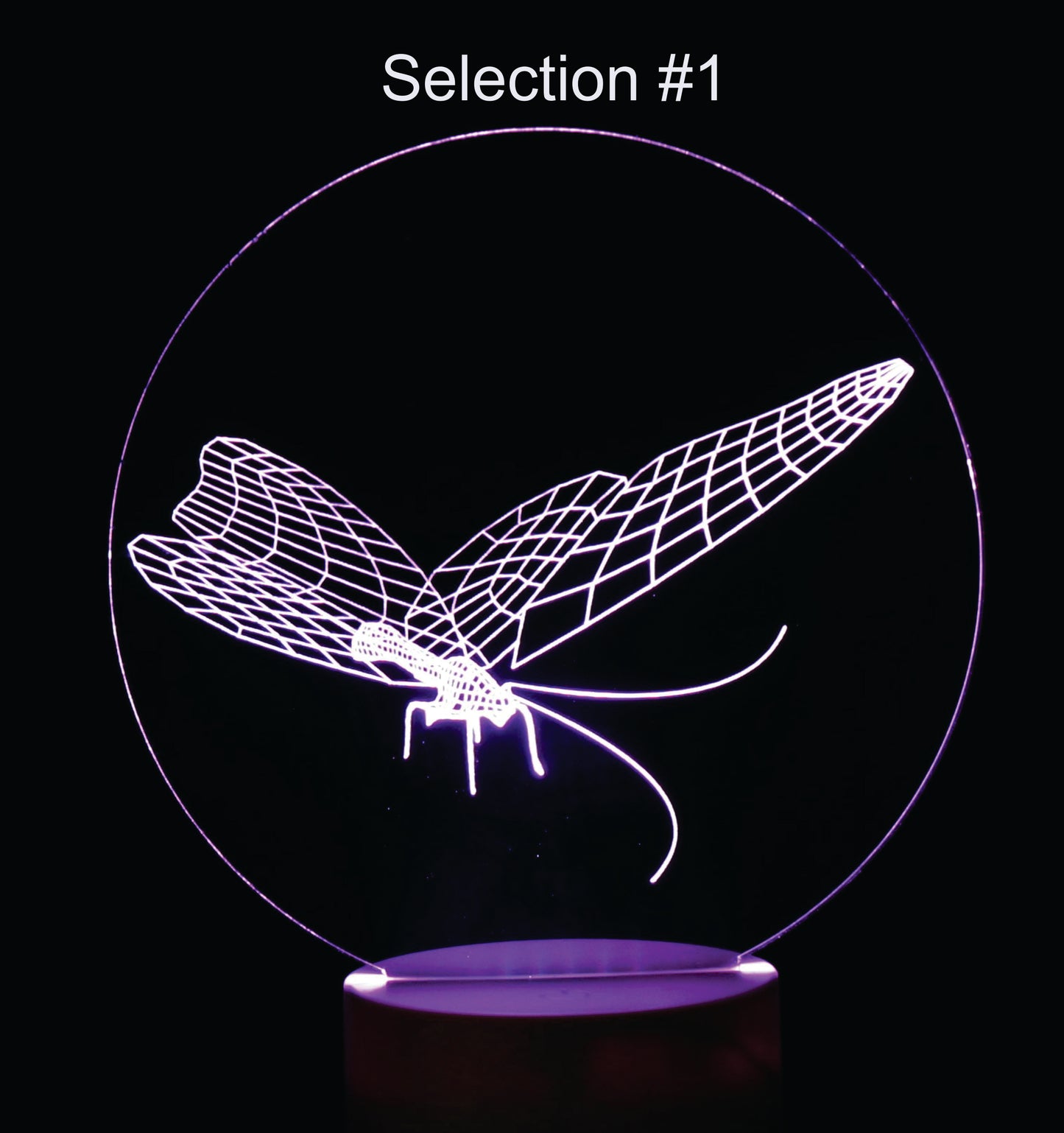 Butterflies 3-D Optical Illusion Multicolored Light