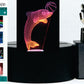 Dolphin with Ring or Ball 3-D Optical Illusion Multicolored Light