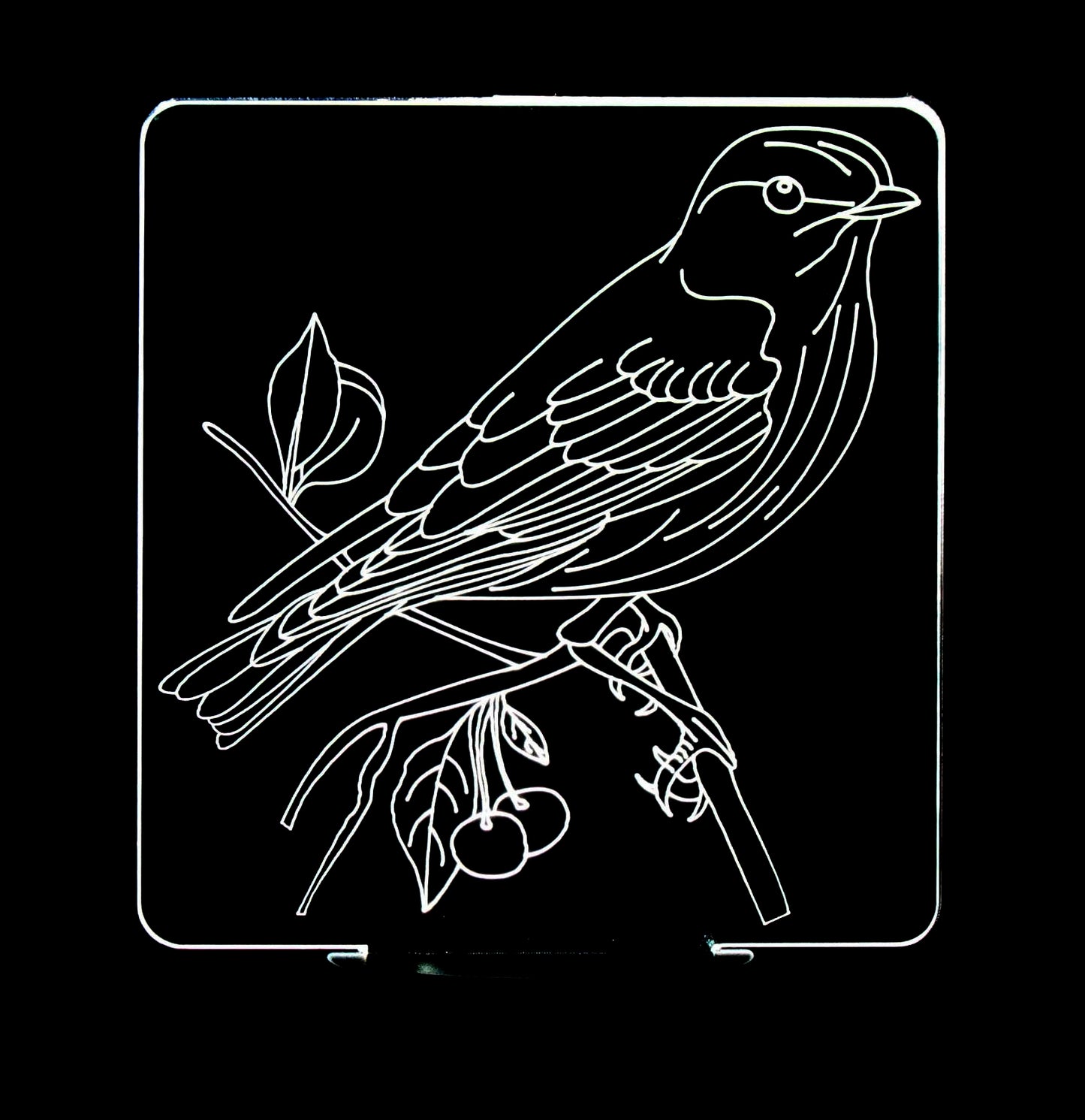 Sparrow on Branch 3-D Optical Illusion Multicolored Lamp