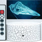 Star Trek D'Kyr Class 3-D Optical Illusion Multicolored Lamp